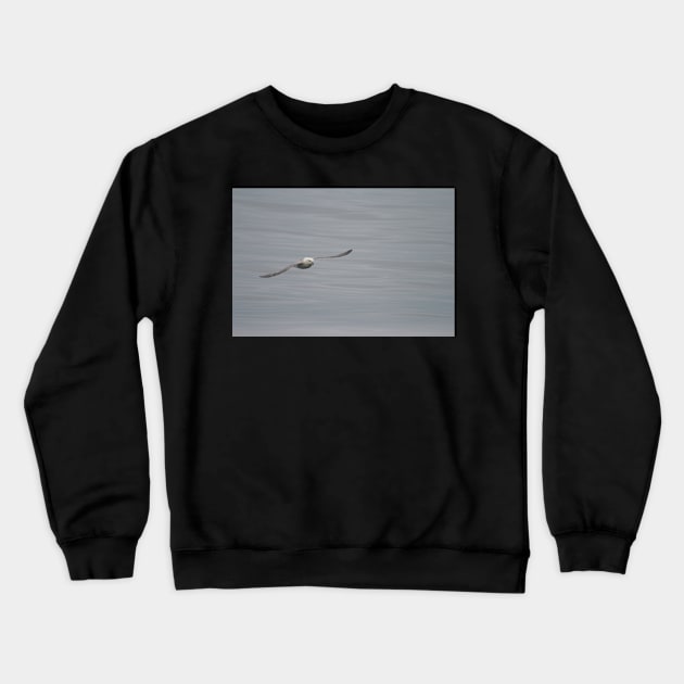 Gliding Crewneck Sweatshirt by orcadia